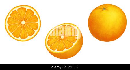 Oranges. Illustration réaliste vectorielle isolée sur blanc. Entier, moitié et tranche d'une orange mûre. Ensemble juteux d'agrumes de morceaux coupés de fruits frais aigres Illustration de Vecteur