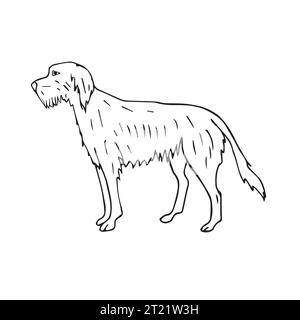 Vecteur dessin à la main doodle croquis wolfhound chien isolé sur fond blanc Illustration de Vecteur