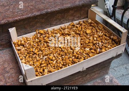 Une image en gros plan d'une boîte en bois remplie de champignons comestibles de la région du Tyrol du Sud Banque D'Images