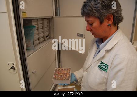 Yvette Gillies avec des flacons d'écouvillons pour oiseaux de grippe aviaire au Bird Lab, Alaska Science Center, Anchorage. Cette image a été prise entre le 14 juin et le 20 juin 2006. Sujets : travaux du Service ; influenza aviaire ; Alaska. . 1998 - 2011. Banque D'Images