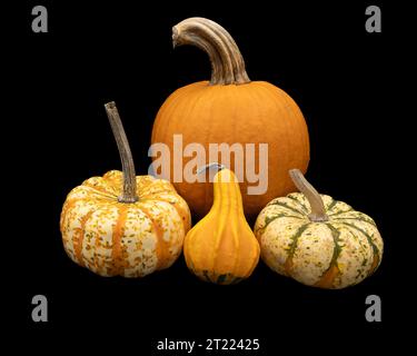citrouilles et gourde sur fond noir Banque D'Images