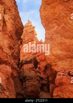 En regardant à travers les hoodoos Rock bizarres, apparemment brillants, de Bryce Canyon dans l'Utah Banque D'Images