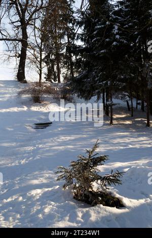 Belle photo d'hiver du parc Brukenthal couvert de neige au coucher du soleil à Avrig, Roumanie. Banque D'Images