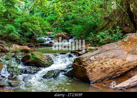 Rivière avec troncs d'arbres et pierres au milieu de la végétation forestière à Minas Gerais, Brésil Banque D'Images