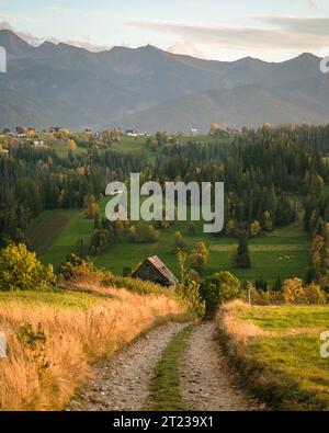 Route de ferme en terre à Ząb, un village près de Zakopane, Pologne Banque D'Images
