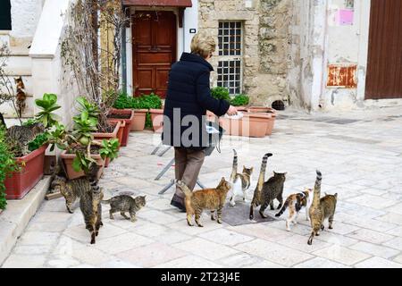 POLIGNANO A MARE, ITALIE - 6 FÉVRIER 2019 : une femme âgée et des chats errants dans la rue à Polignano A Mare, une ville des Pouilles, dans le sud de l'Italie. Banque D'Images