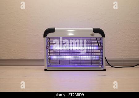 Moustique électrique et zapper d'insecte avec lumières violettes bleues allumées. Bug Killer lampe sur plancher en bois dans la chambre. Piège à mouches pour extérieur et intérieur Banque D'Images