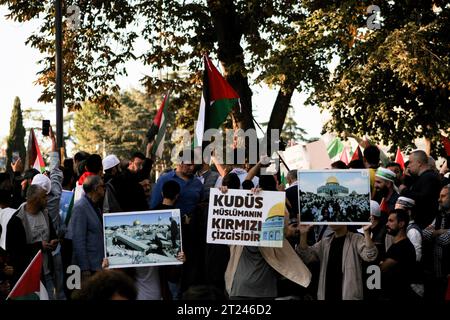 Istanbul, Turquie. 14 octobre 2023. Les manifestants brandissent des pancartes exprimant leur opinion lors d'une marche de protestation en solidarité avec le peuple palestinien. (Photo Muhmmad Al-Najjar/SOPA Images/Sipa USA) crédit : SIPA USA/Alamy Live News Banque D'Images