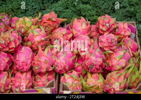 Marché alimentaire central à Copenhague, Danemark Banque D'Images