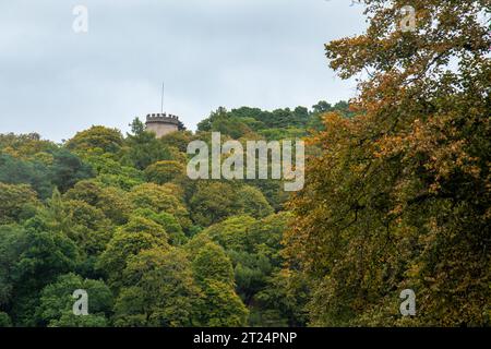 Le sommet de la tour Nelson s'élève au-dessus de la cime des arbres à Forres, Morayshire Banque D'Images