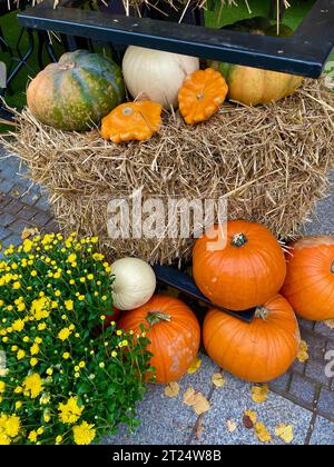 Citrouilles oranges placées à côté d'une gerbe de foin Banque D'Images