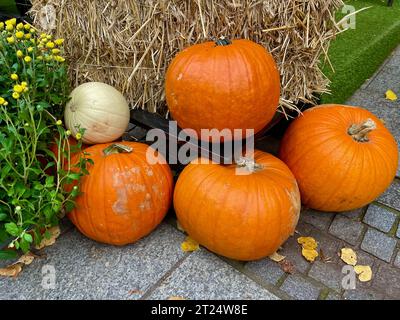 Citrouilles oranges placées à côté d'une gerbe de foin Banque D'Images