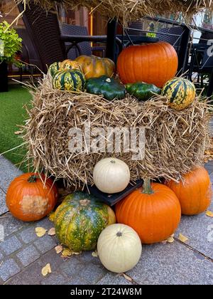 Citrouilles oranges placées à côté d'une gerbe de foin Banque D'Images