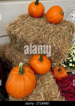 Citrouilles oranges placées à côté d'une gerbe de foin Banque D'Images