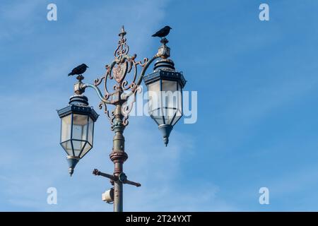 Lampadaires historiques à Southsea Portsmouth, Hampshire, Angleterre, Royaume-Uni, avec des oiseaux perchés contre le ciel bleu Banque D'Images