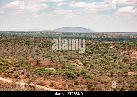 Paysage africain avec des maisons au milieu des arbres d'acacia dans les paysages arides de VOI Town, Kenya Banque D'Images