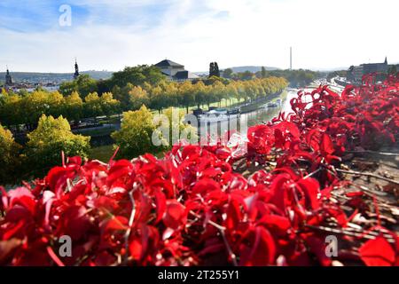 Herbstlich ist der Blick von der Saarbrücker Schloßmauer auf Saar und Staatstheater am Montag 16.10.2023. *** Automnal est la vue depuis le mur du château de Saarbrücken sur la Sarre et le théâtre d'état le lundi 16 10 2023 BUB crédit : Imago/Alamy Live News Banque D'Images