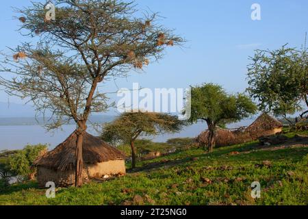 Les Njemps, également appelés «en-Jemusi», «il-Chamus», Ilchamus ou Iltiamus, vivaient autour du lac Baringo, dans un lieu appelé Marigat. Ils parlent Maa l Banque D'Images