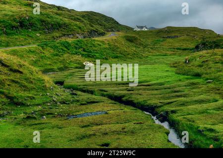 La Golden Road est une route panoramique à voie unique qui serpente à travers le paysage accidenté de l'île de Harris, offrant une vue imprenable sur l'Atlantique O. Banque D'Images