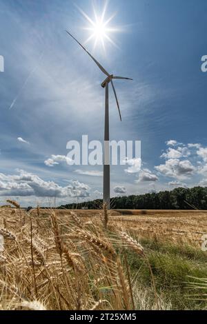 générateur foeld agriculture énergie vent maïs environnement blé vert électricité renouvelable alternative terres agricoles agriculture clouds été Banque D'Images