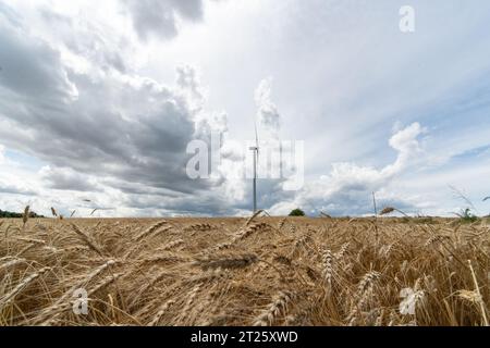 générateur foeld agriculture énergie vent maïs environnement blé vert électricité renouvelable alternative terres agricoles agriculture clouds été Banque D'Images