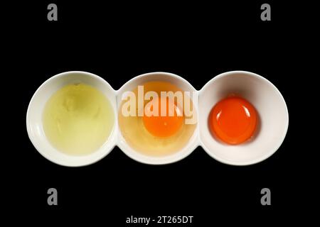 Séparer le jaune d'oeuf de l'oeuf blanc et bouilli dans un bol isolé sur fond noir Banque D'Images