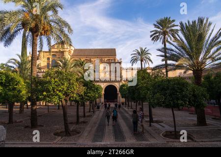 Cour des orangers dans la Grande Mosquée de Cordoue. Espagne. Banque D'Images