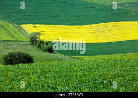 Paysage près de Uslar, district de Northeim, Weser Uplands, sud de la Basse-Saxe, Allemagne, Europe Banque D'Images