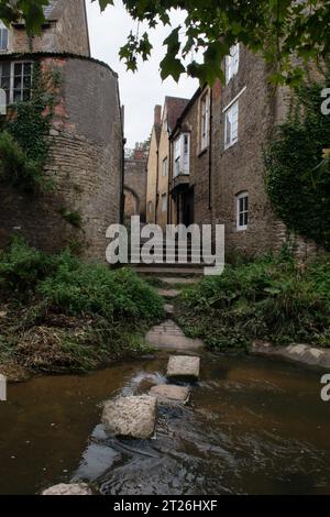 Stepping Stones on the River Brue, Bruton, Somerset, Angleterre Banque D'Images