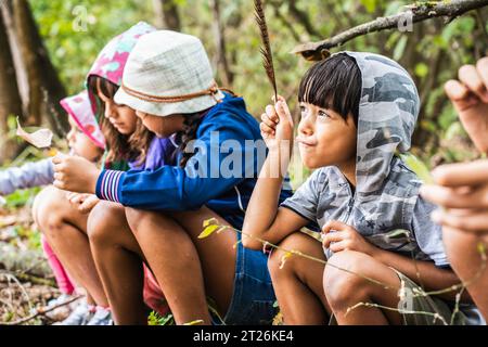 Groupe d'enfants curieux heureux de l'école dans des vêtements décontractés explorant la nature et la forêt ensemble - les enfants tenant les trouvailles trouvées dans les bois dans leur Banque D'Images