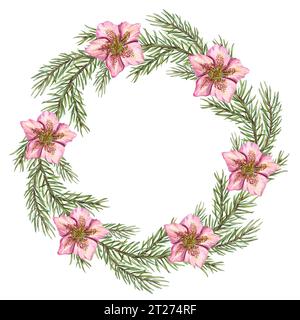 Couronne de Noël avec fleurs de hellébore et branches d'épinette. Brin vert hiver luxuriant, têtes de fleurs roses. Espace pour le texte. Illustration à l'aquarelle. Banque D'Images