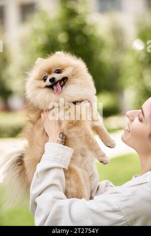 joyeux pomeranian spitz sortant de la langue dans les mains du propriétaire souriant, bonheur doggy Banque D'Images