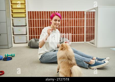 smiley chien soignant la formation pomeranian spitz assis sur le sol et tenant la friandise dans la main Banque D'Images