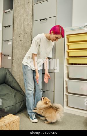 un chien de garde souriant qui tend les mains jusqu'à l'adorable spitz pomeranian dans un hôtel accueillant et moderne pour animaux de compagnie Banque D'Images