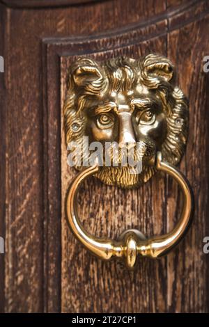 un vieux cogneur de porte lionhead Banque D'Images