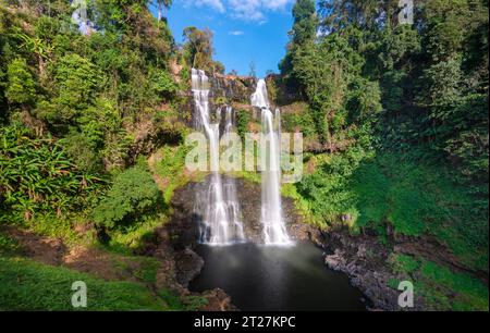 40m de haut, cascade pittoresque entouré par la belle forêt tropicale et la nature, dans la région de Pakse au sud du Laos, dans le district de Paksong. Banque D'Images