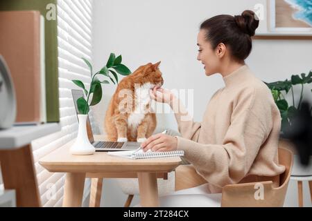 Femme écrivant dans un cahier et caressant chat mignon à la maison Banque D'Images