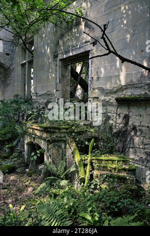 Vue intérieure du Château de la Mothe Chandeniers Banque D'Images