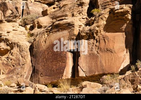 Petroglyph trouvé dans Nine Mile Canyon, la plus grande galerie d'art en plein air du monde, West Tavaputs plateau, près de Price, Utah, États-Unis. Banque D'Images