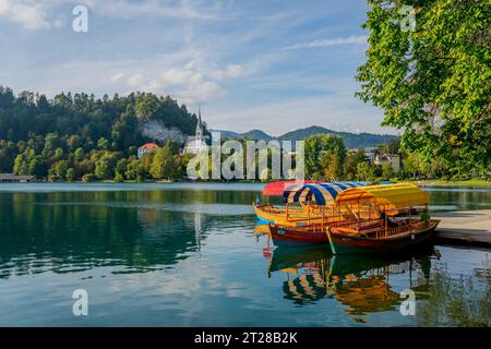 Vue sur le lac de Bled avec des bateaux pletna amarrés, des bateaux traditionnels fabriqués à la main par les habitants de Bled et l'église de St. Martin, à Bled, Alpes slovènes, SL Banque D'Images