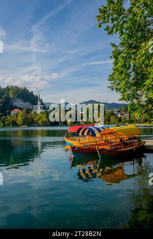 Vue sur le lac de Bled avec des bateaux pletna amarrés, des bateaux traditionnels fabriqués à la main par les habitants de Bled et l'église de St. Martin, à Bled, Alpes slovènes, SL Banque D'Images