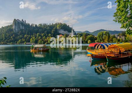 Vue sur le lac de Bled avec des bateaux pletna amarrés, des bateaux traditionnels fabriqués à la main par les habitants de Bled et l'église de St. Martin, à Bled, Alpes slovènes, SL Banque D'Images