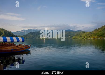 Vue sur le lac de Bled avec des bateaux pletna amarrés, des bateaux traditionnels fabriqués à la main par les habitants de Bled, et l'île de Bled avec l'église de pèlerinage de l'Assumpt Banque D'Images