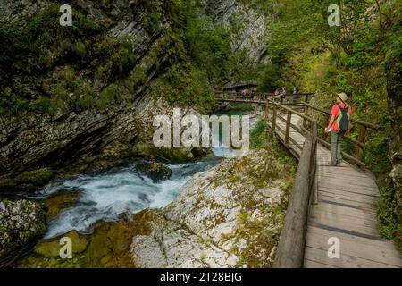 Les gens marchent sur des promenades à travers la gorge de Vintgar ou gorge de Bled, une gorge de 1,6 kilomètres (0,99 mi), creusée par la rivière Radovna près de Bled, en Slovénie Banque D'Images