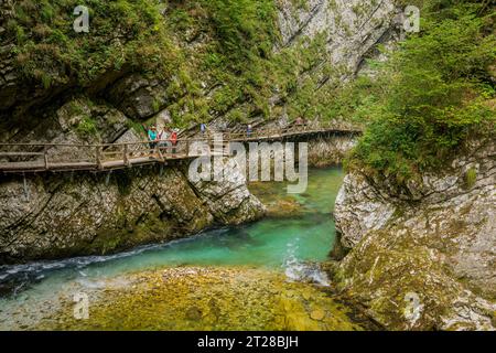 Les gens marchent sur des promenades à travers la gorge de Vintgar ou gorge de Bled, une gorge de 1,6 kilomètres (0,99 mi), creusée par la rivière Radovna près de Bled, en Slovénie Banque D'Images