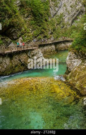 Les gens marchent sur des promenades à travers la gorge de Vintgar ou gorge de Bled, une gorge de 1,6 kilomètres (0,99 mi), creusée par la rivière Radovna près de Bled, en Slovénie Banque D'Images