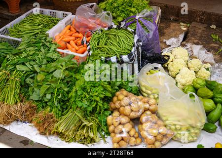Beaucoup d'aubergines, tomates, pommes de terre, carottes, concombres, piments, piments rouges, maïs, oignons, avocats, chayote, haricots verts, haricots longs, ail. Banque D'Images