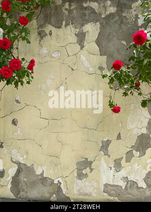mur vintage avec des fleurs, des roses comme fond Banque D'Images