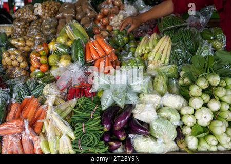 Beaucoup d'aubergines, tomates, pommes de terre, carottes, concombres, piments, piments rouges, maïs, oignons, avocats, chayote, haricots verts, haricots longs, ail. Banque D'Images