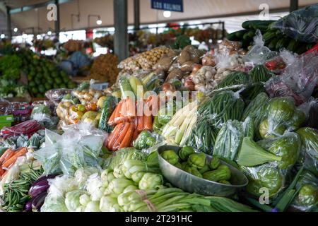 Beaucoup d'aubergines, tomates, pommes de terre, carottes, concombres, piments, piments rouges, maïs, oignons, avocats, chayote, haricots verts, haricots longs, ail. Banque D'Images
